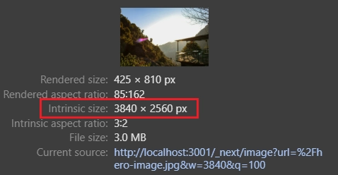 Card that appears when you hover over the src attribute of an img tag in the Browser's DevTools Elements Tab. Among other things, it shows the intrisic size as 3840 x 2560px and the file size as 3.0 MB.