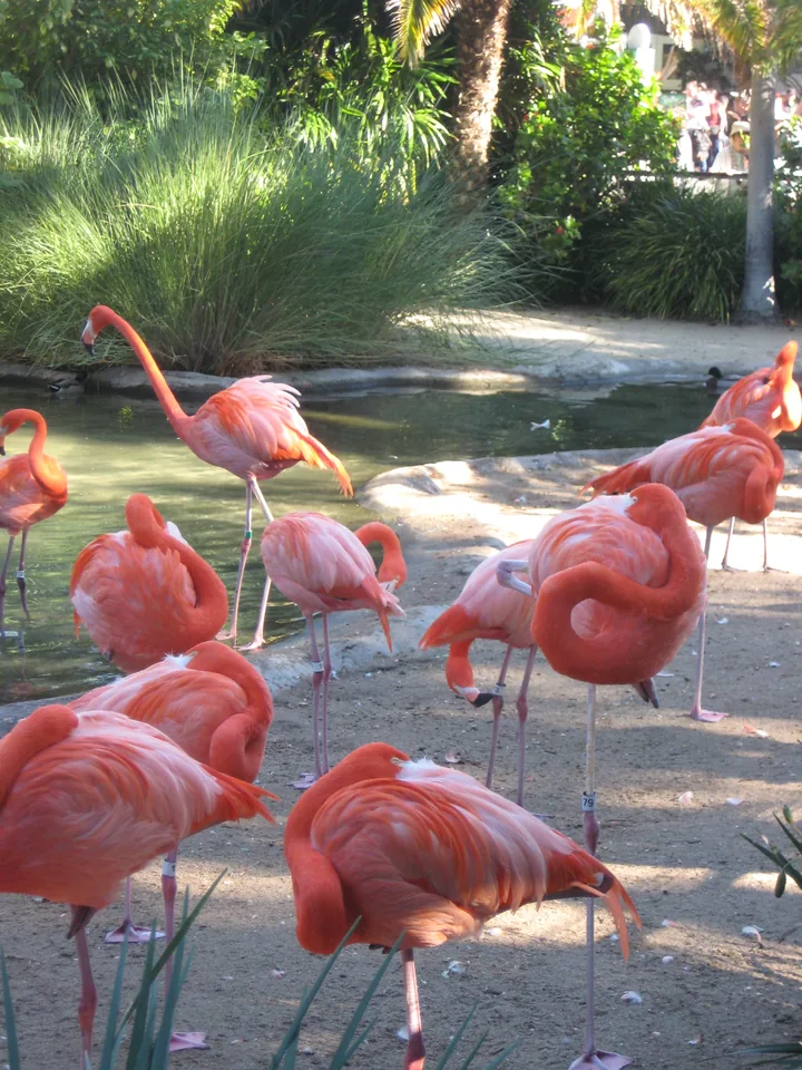 Chroma subsampling 444 reconstruction