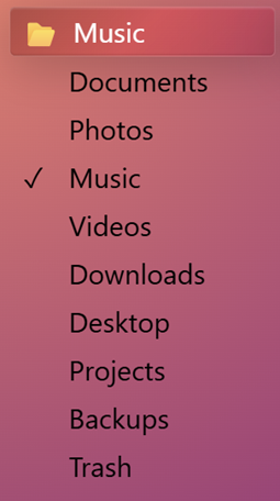 A select element with expanded options formatted as text in a single vertical list. An option called music is selected and represents the top picker button which is styled with a folder icon to the left of the text label.