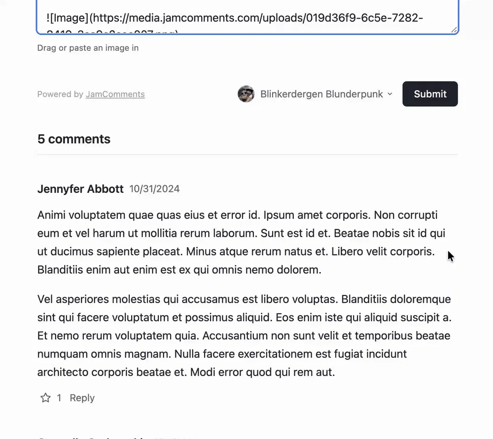 image slowly loads in after comment is submitted