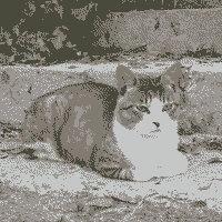 Cat (2bpp)