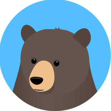 BearTS