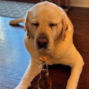 NullPointerDepressiveDisorder