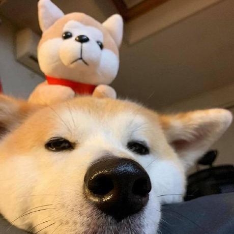 nomi-san