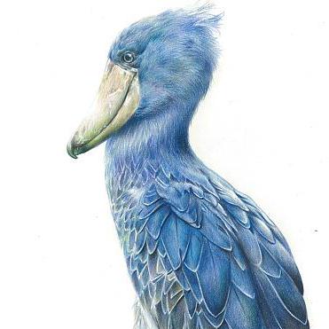 Luo-Yihao
