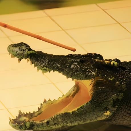 crocodilestick