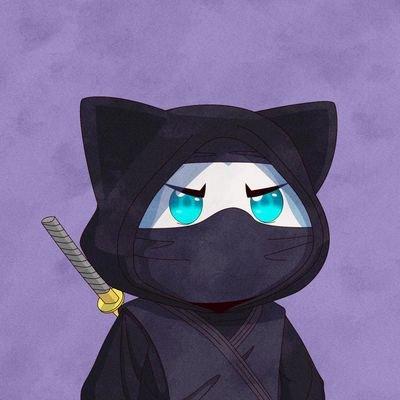 MatthewTheCoder1218