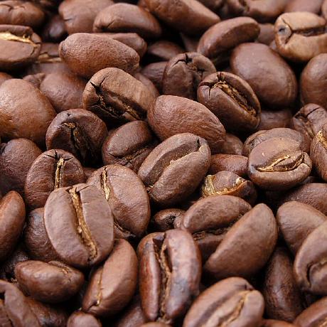 caffienerd
