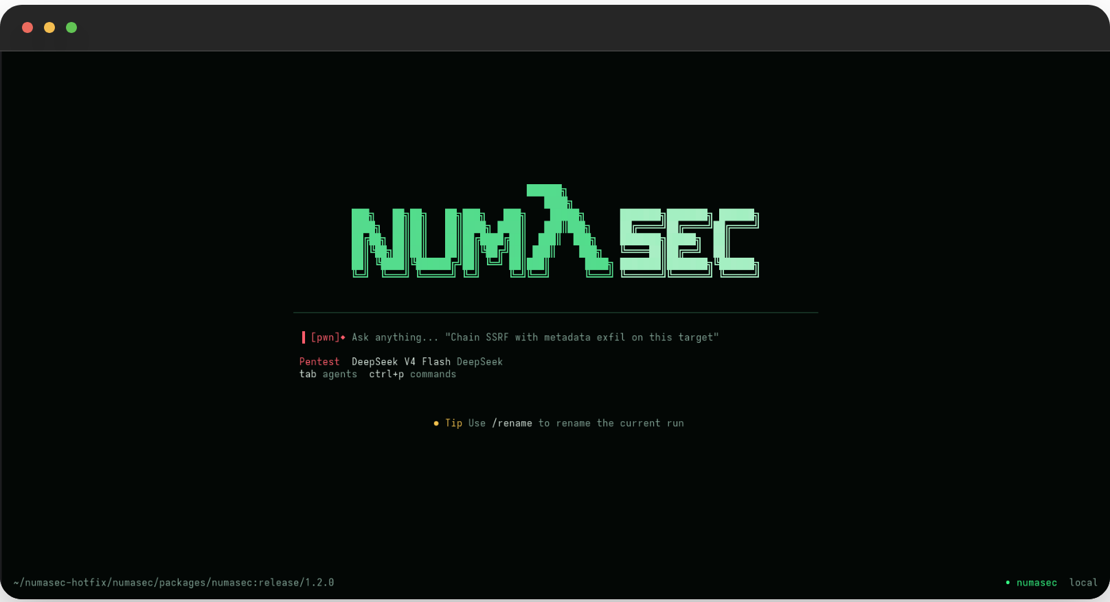 FrancescoStabile/numasec cover