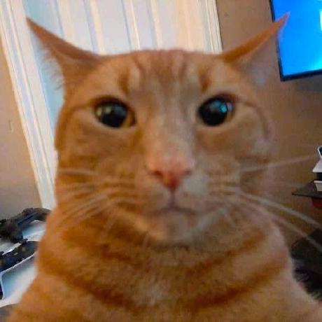 tonhowtf
