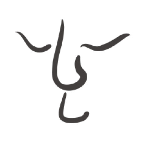 alephpi
