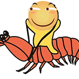 tech-shrimp