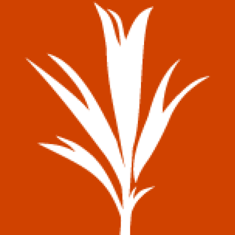 developmentseed