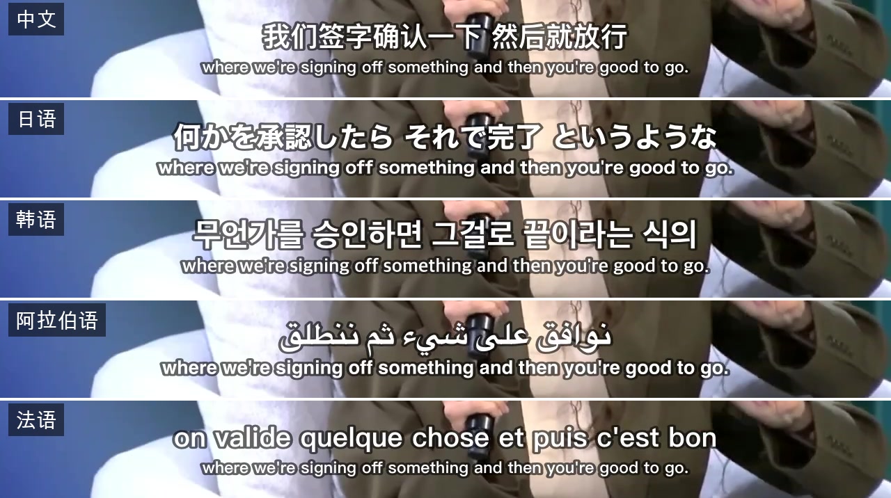 xiaohuailabs/xiaohu-video-translate cover