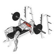hasaneyldrm/exercises-dataset cover