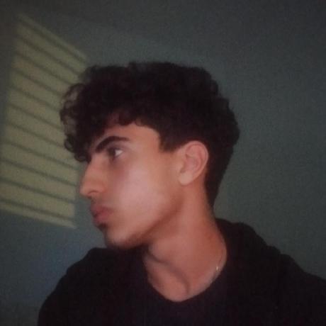 dvir-biton