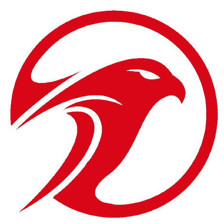 Falcons-ai