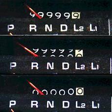 stupside